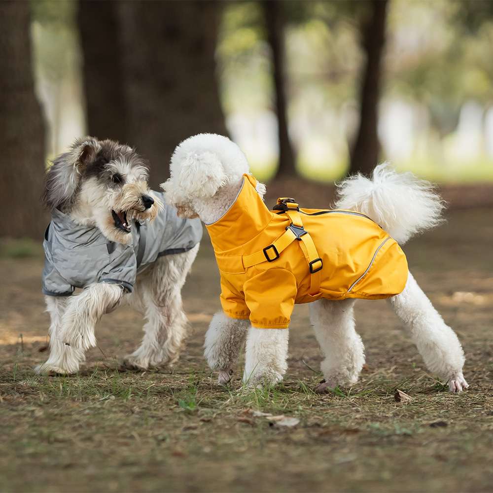 中型犬〜小型犬用オールウェザーコート〈レインウェア〉