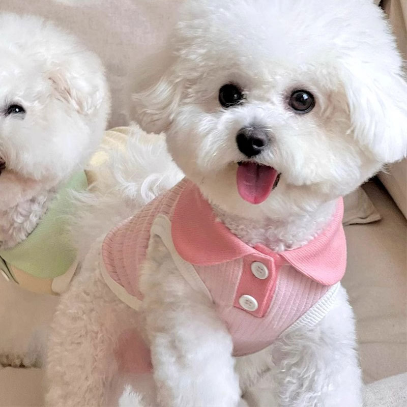 犬服 やわらか襟付きリブニット