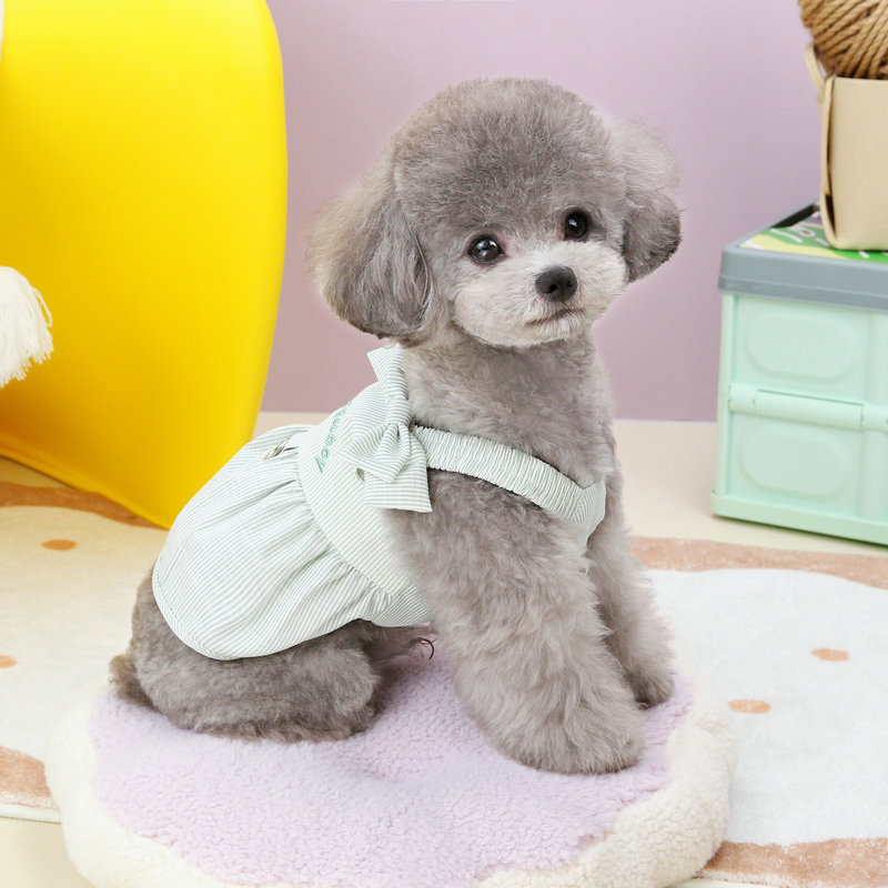 https://fulmo-img-server.com/perry-dog/8599e554-fae0-4c02-8041-2c794f5b0dcb.jpg