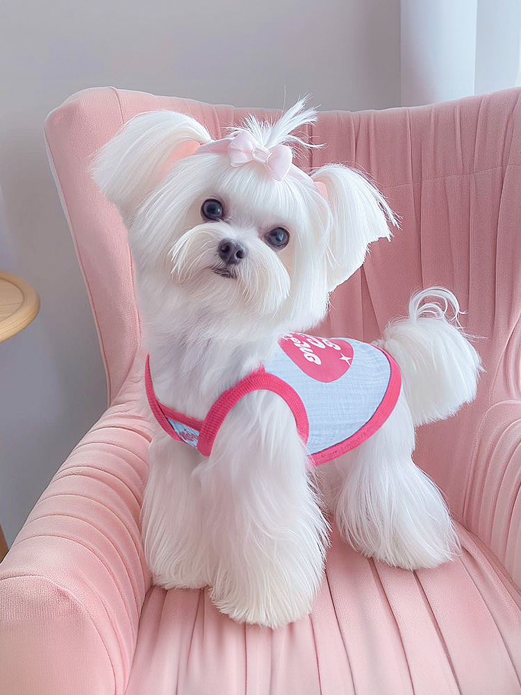 犬服 おしゃれハート タンクトップ