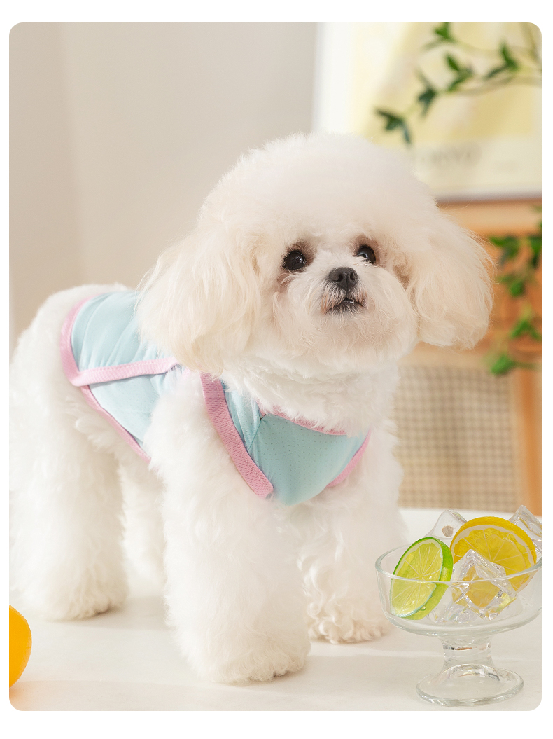 犬服 ひんやり爽快ベスト