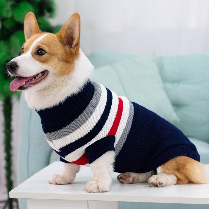 犬服 ぽんぽん付きタートルネックニットセーター