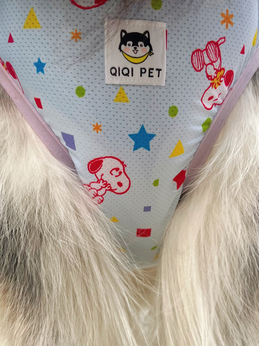 犬服 おやすみ星空キャラクターパジャマ