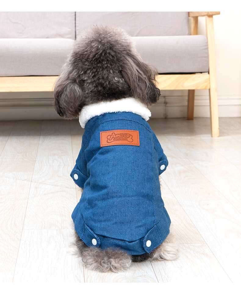 犬の服おすすめ5選