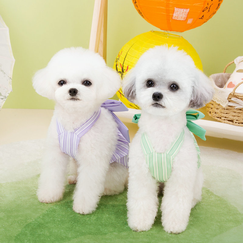 https://fulmo-img-server.com/perry-dog/872dea82-9c4a-455d-8665-70fe79e93334.jpg