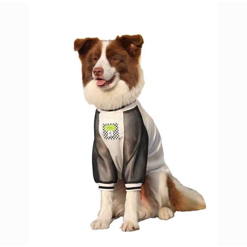 犬服  スポーティーメッシュTシャツ