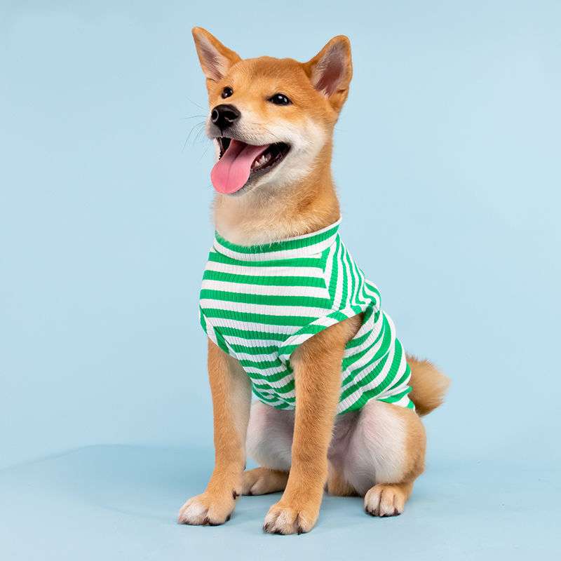 犬服　普段着Tシャツ