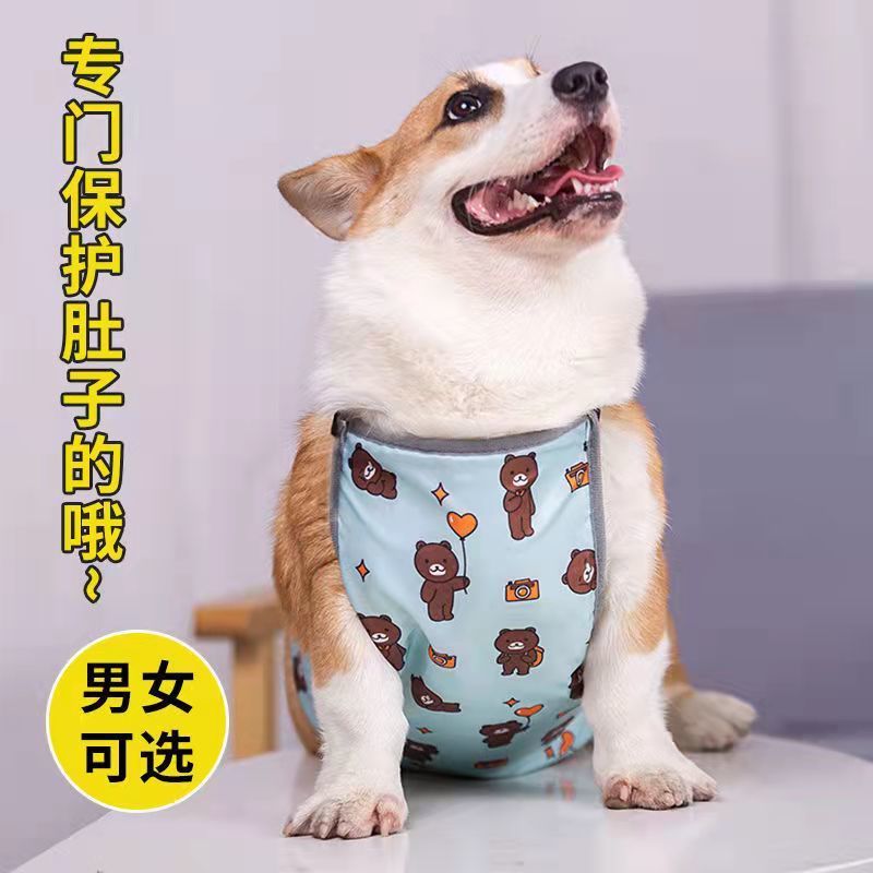 https://fulmo-img-server.com/perry-dog/897f91f7-7b45-49bb-8ff3-aae449b04474.jpg