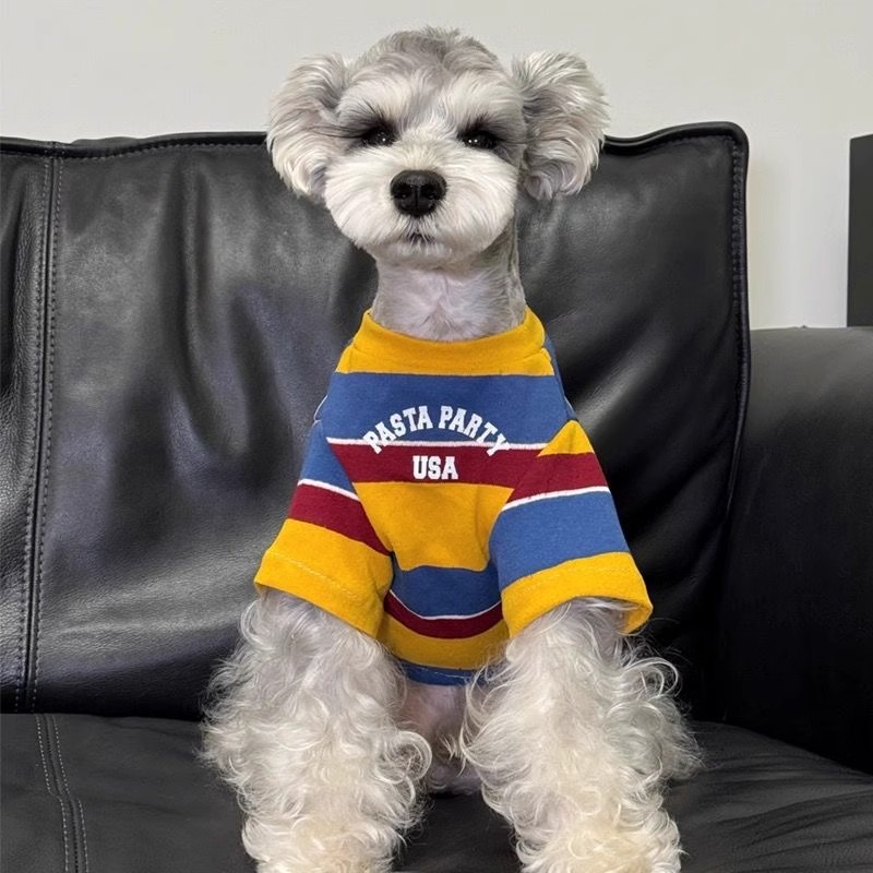 https://fulmo-img-server.com/perry-dog/8a5d2c8e-fdd9-4ad5-87f2-a101370b8b2e.jpg