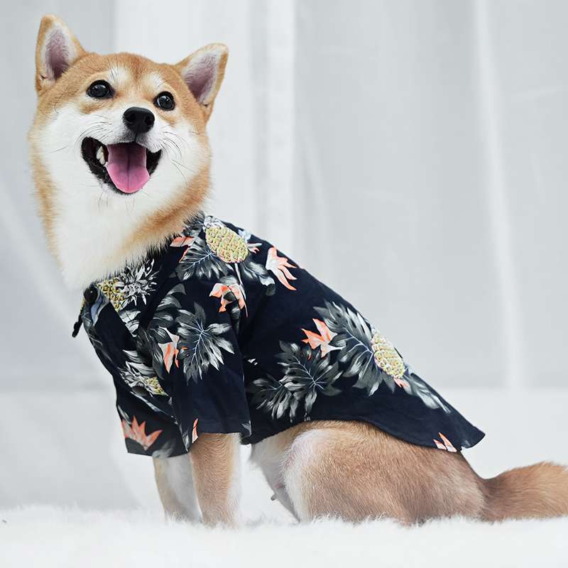 柴犬に着せたいかわいい犬服5選