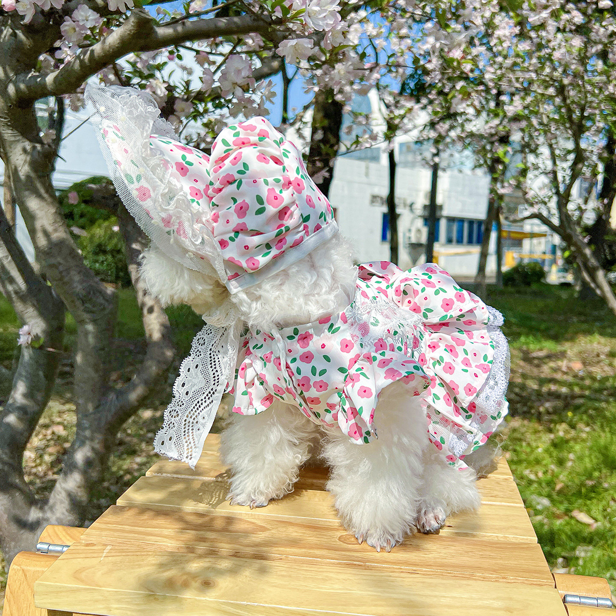 犬服 花園お姫様ワンピースと帽子セット