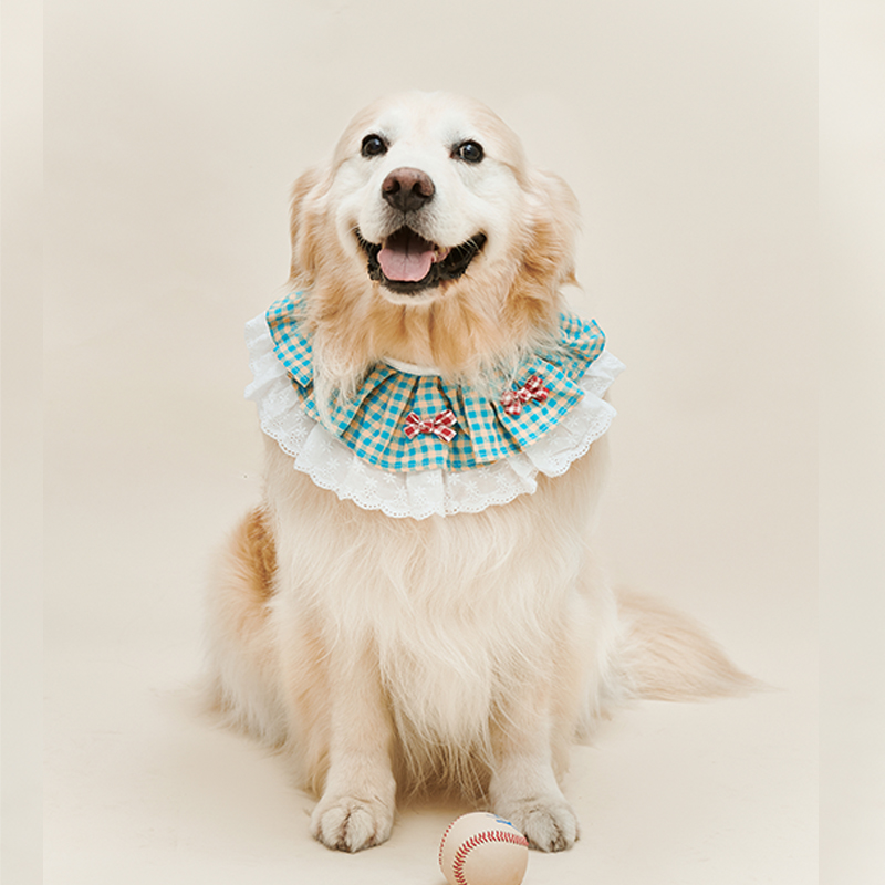 犬服 大型犬用チェック柄フリルつけ襟リボン飾り