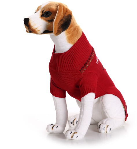https://fulmo-img-server.com/perry-dog/8e76cdbb-7f7c-4a87-8f07-6172a4fd1039.jpg