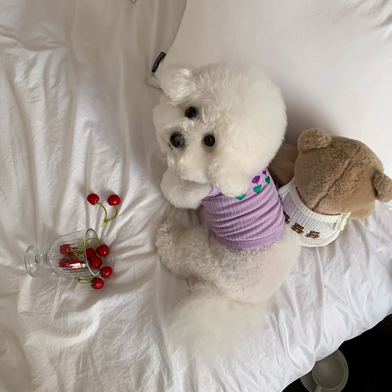 犬服 お花畑リブ編みタンクトップ
