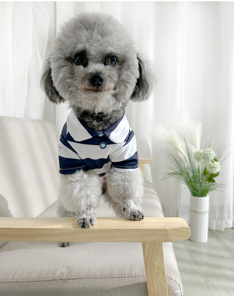 https://fulmo-img-server.com/perry-dog/8fab50c5-d2ca-4648-9fe3-e2eef2a3862d.jpg