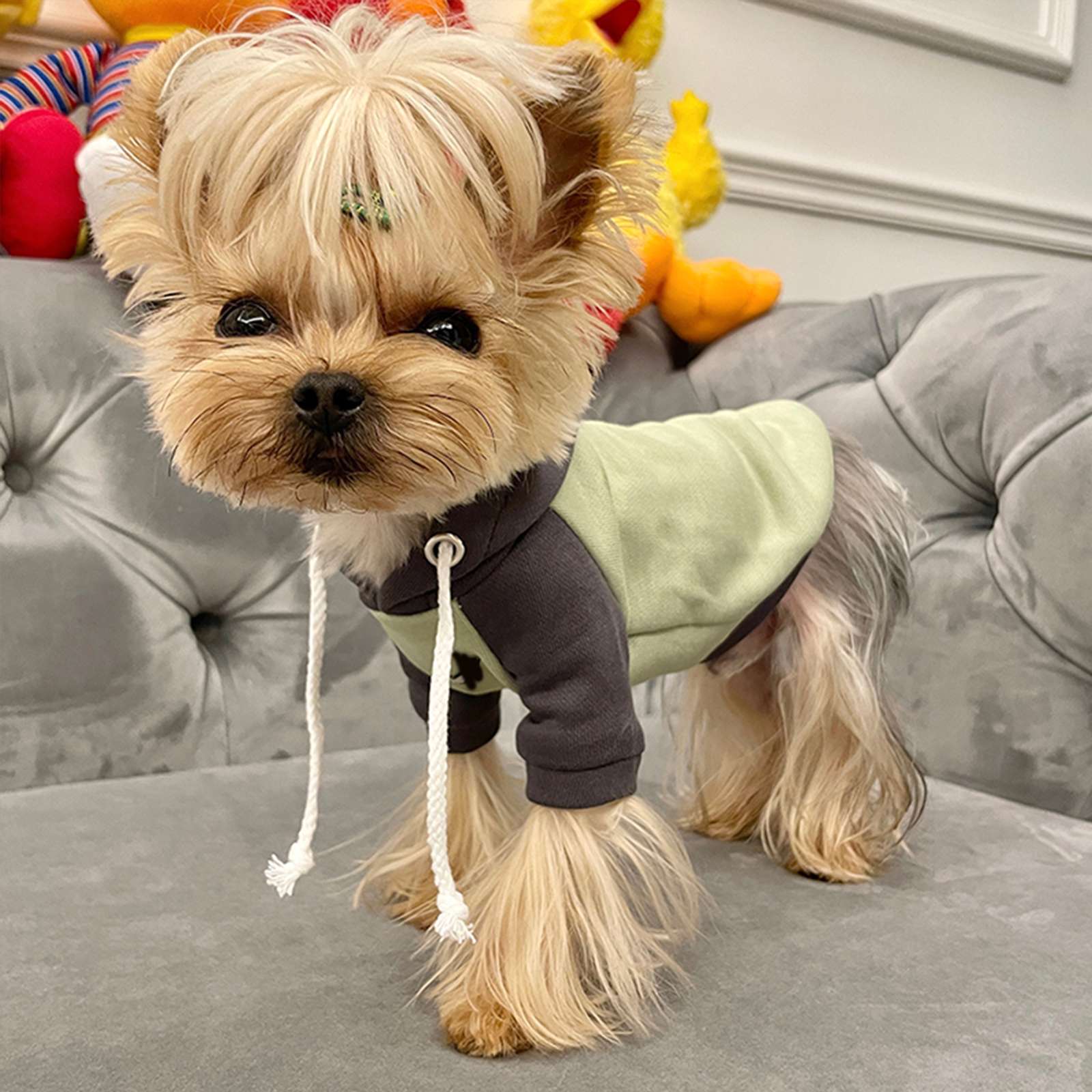 犬服 小型犬用スポーティーパーカー