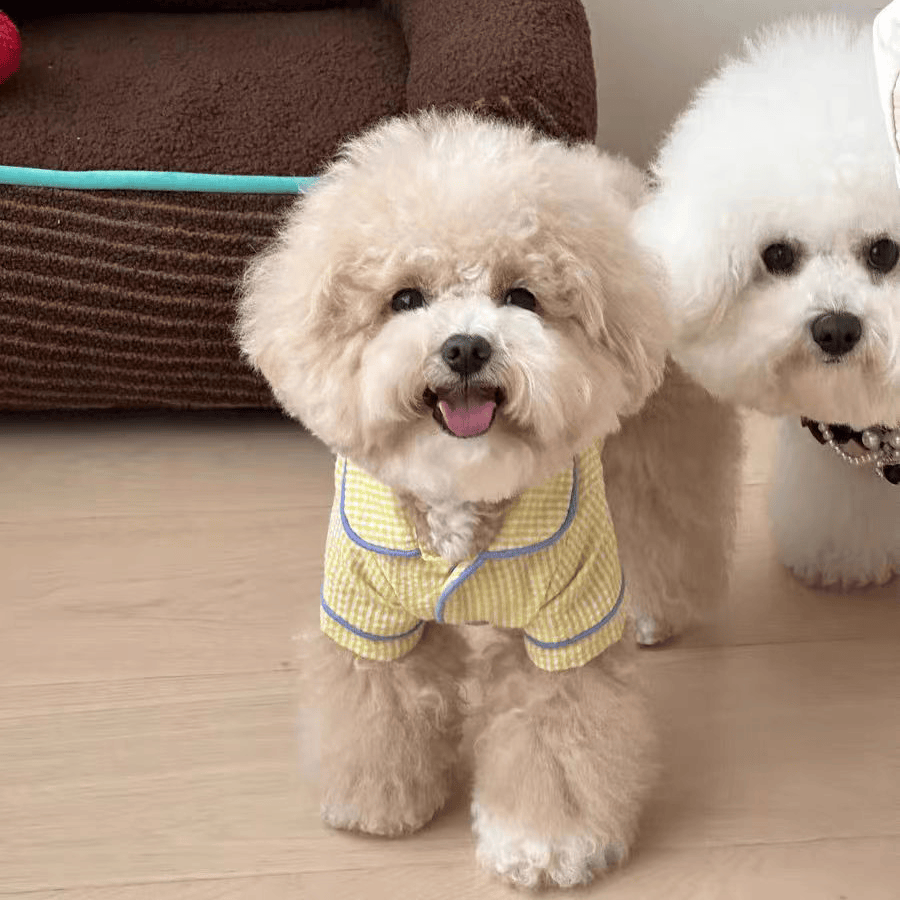犬服 親子おそろい格子柄パジャマ
