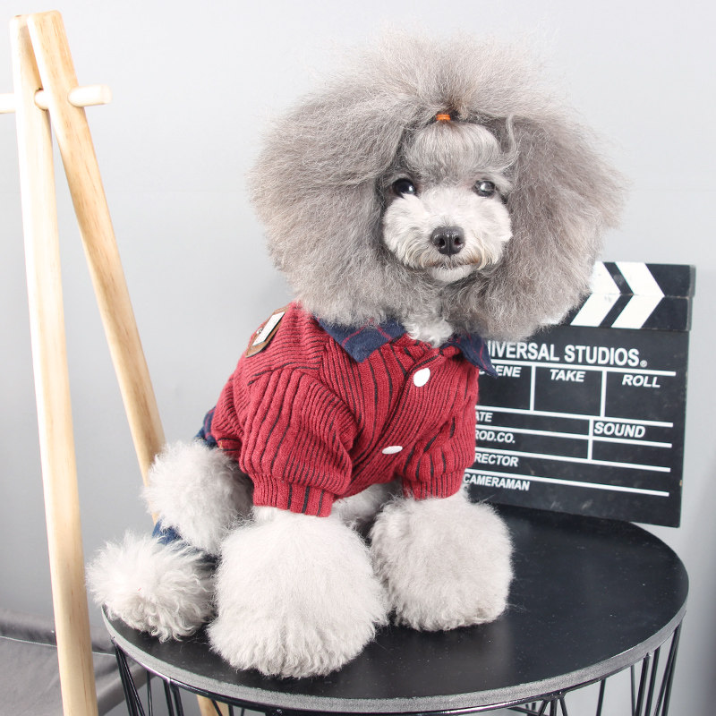 犬服 チェック襟付きリブニットベスト風デニムパンツセット