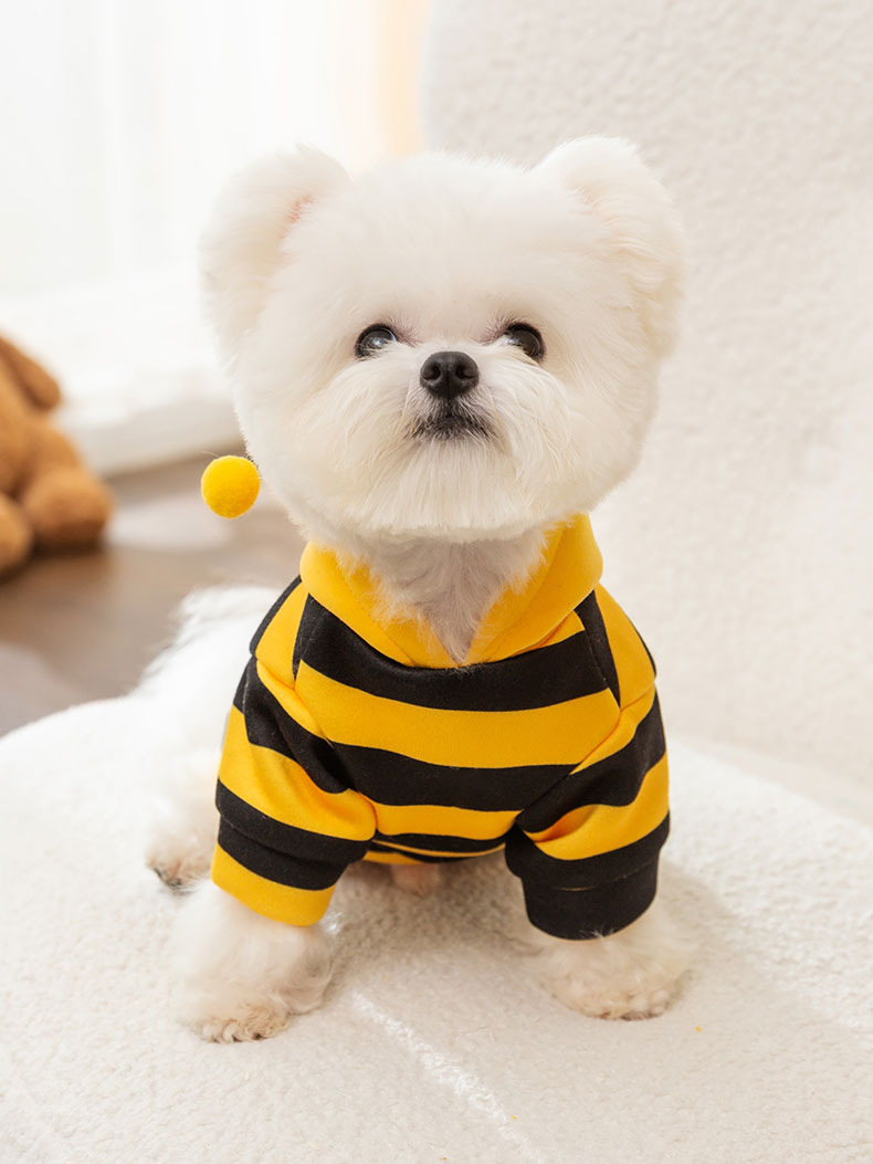 https://fulmo-img-server.com/perry-dog/9083eca3-cb7f-4e18-acc4-c01d7cef7859.jpg