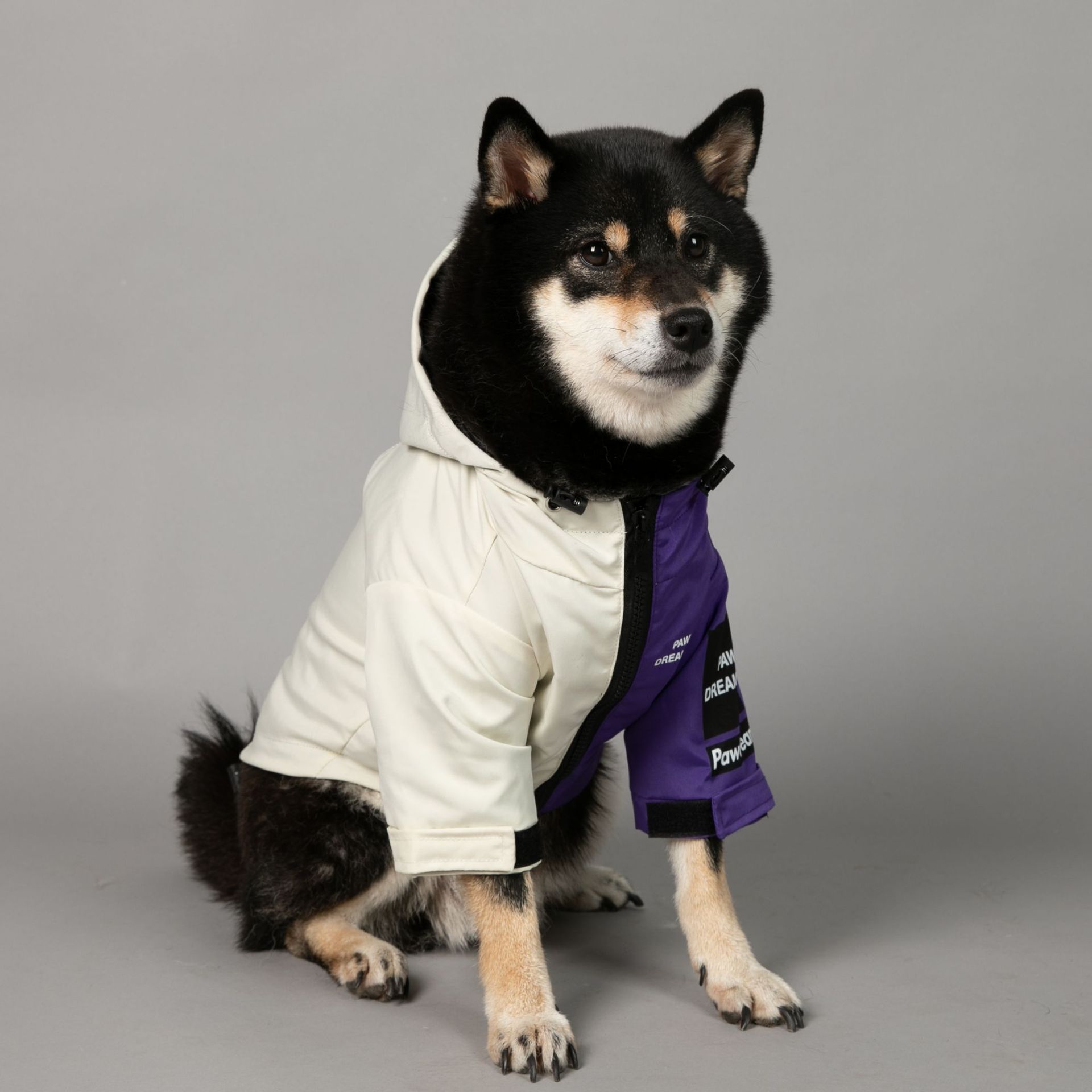https://fulmo-img-server.com/perry-dog/9166ac29-e2da-497f-8988-061a65874f49.jpg