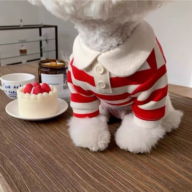 https://fulmo-img-server.com/perry-dog/91ccd5eb-1ffc-418a-940d-609ab5d24534.jpg