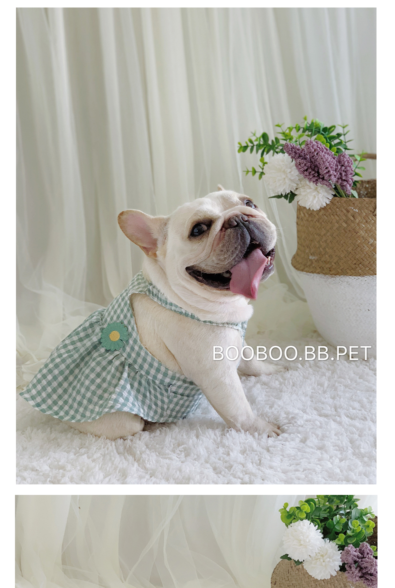 犬服 ギンガムチェック柄フラワー刺繍袖付きワンピース