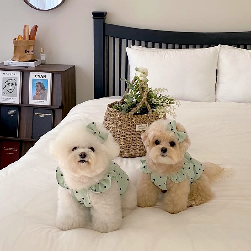 犬服 ふんわり水玉フリルワンピース