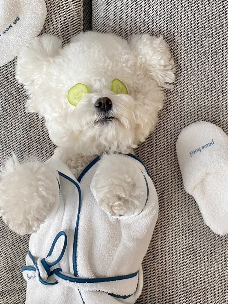 犬服 もこもこスパ風バスローブパジャマ