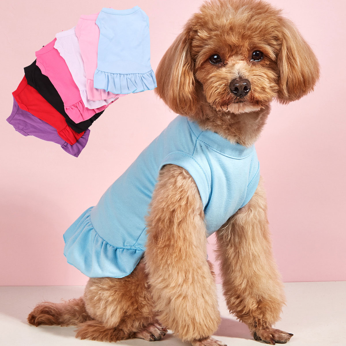 https://fulmo-img-server.com/perry-dog/941504b2-1e1e-4ac5-8772-8029a742e731.jpg