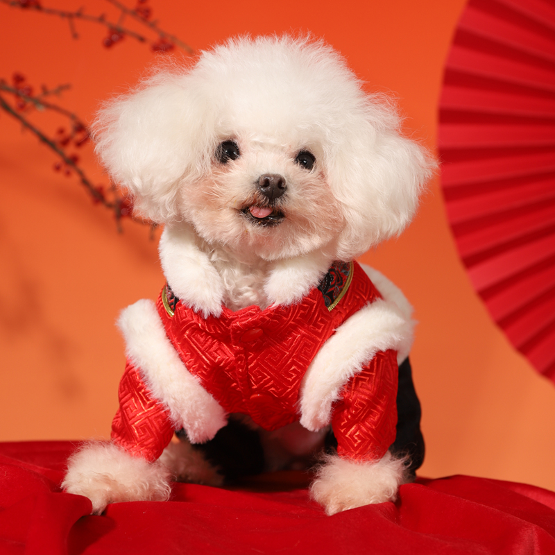 犬服 華やか和風着物風犬服