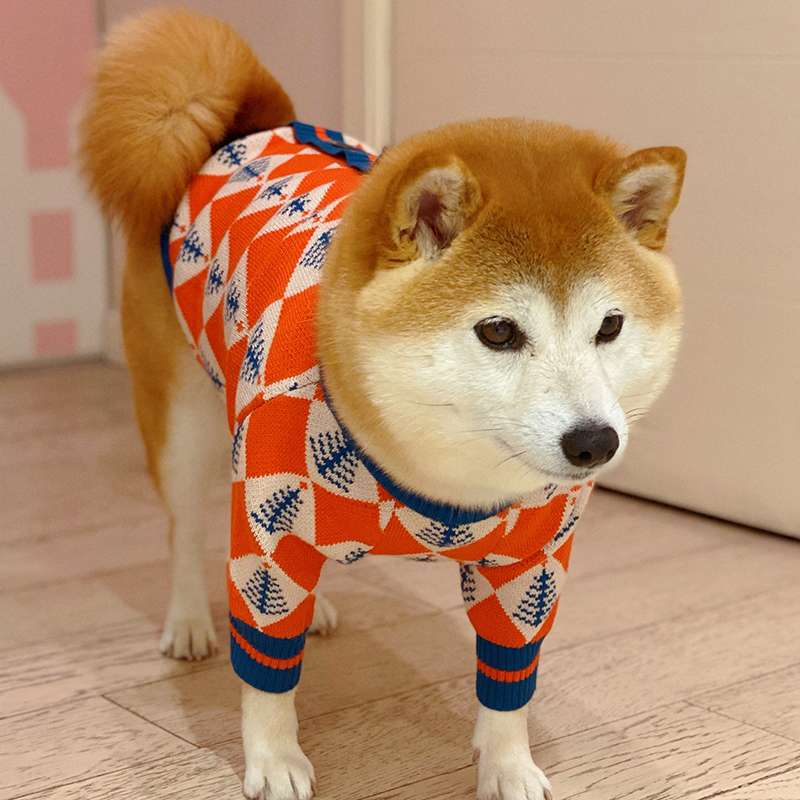 犬服 冬色菱形柄ニットセーター