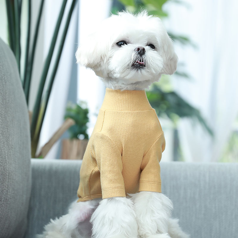 犬服 上品なハートワンポイント付き長袖ニット