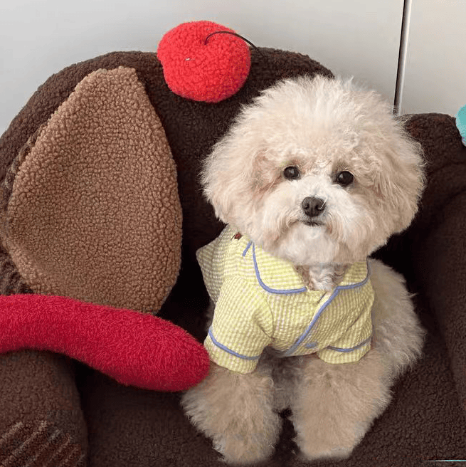 犬服 親子おそろい格子柄パジャマ