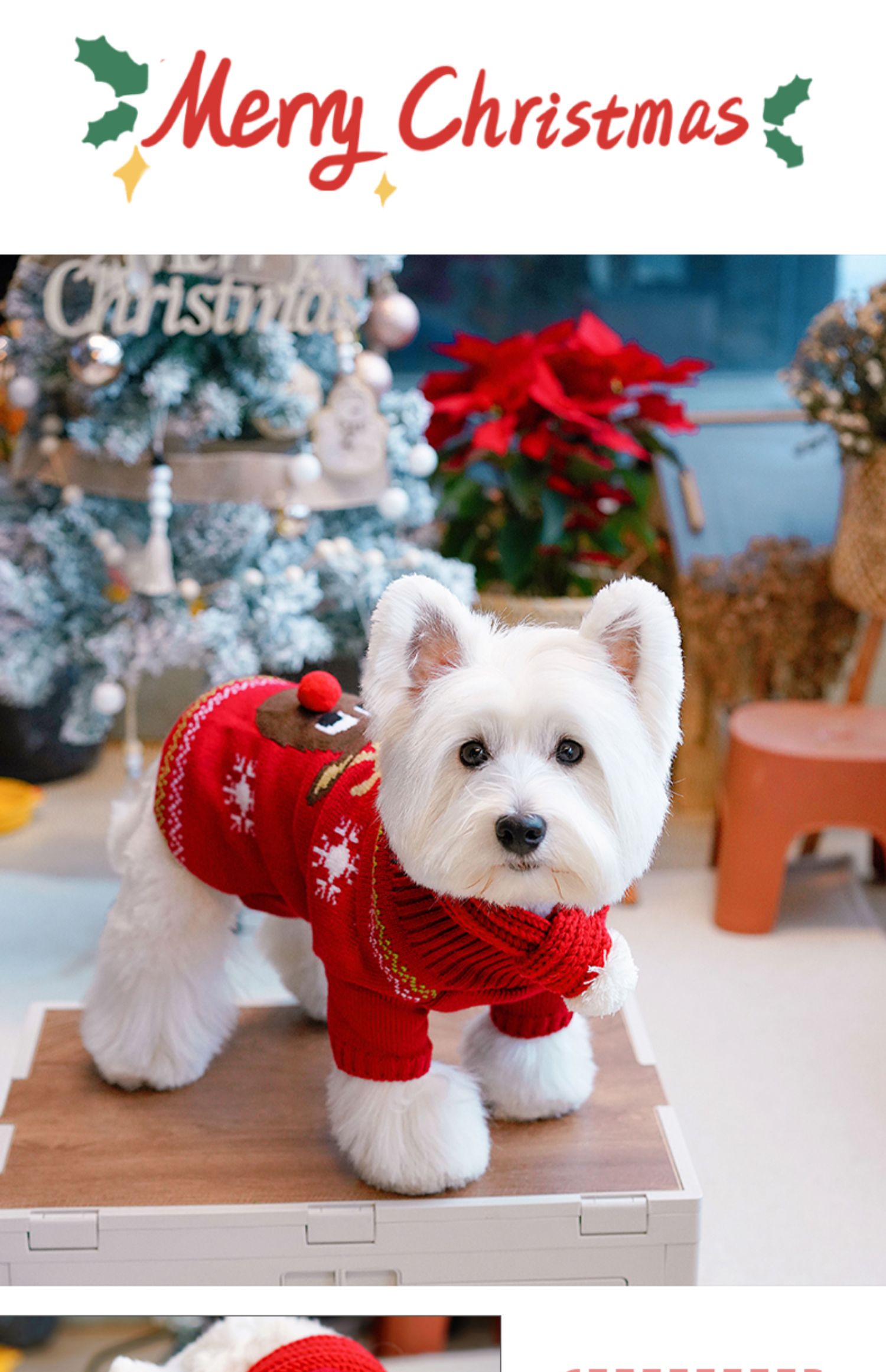 犬服 雪だるま刺繍入り冬のあったかニット犬服