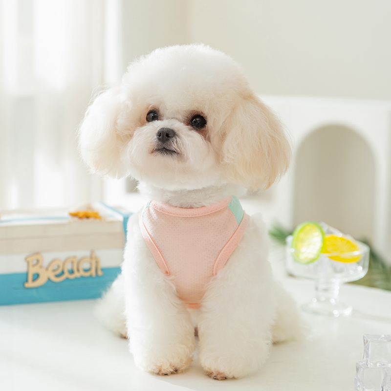犬服 涼感ひんやりタンクトップ