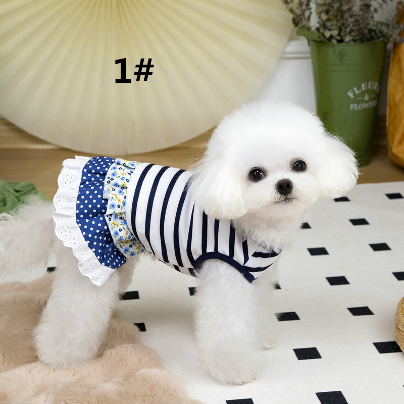 https://fulmo-img-server.com/perry-dog/98b1db79-869a-4cf7-a1e9-8cc9ea6a627e.jpg
