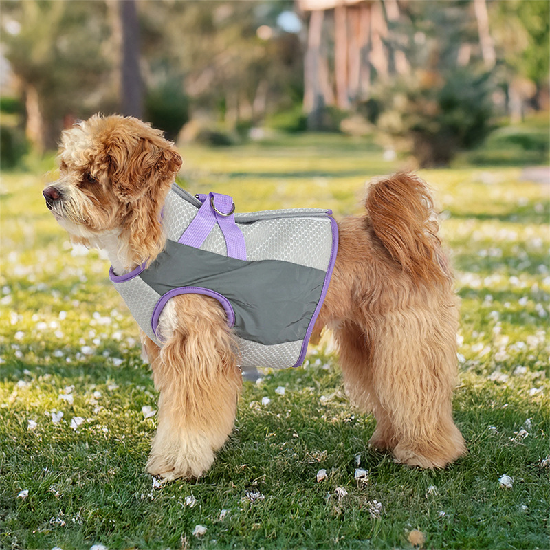 https://fulmo-img-server.com/perry-dog/993da6dd-6d67-4bd3-81ca-fc0343bb606c.jpg