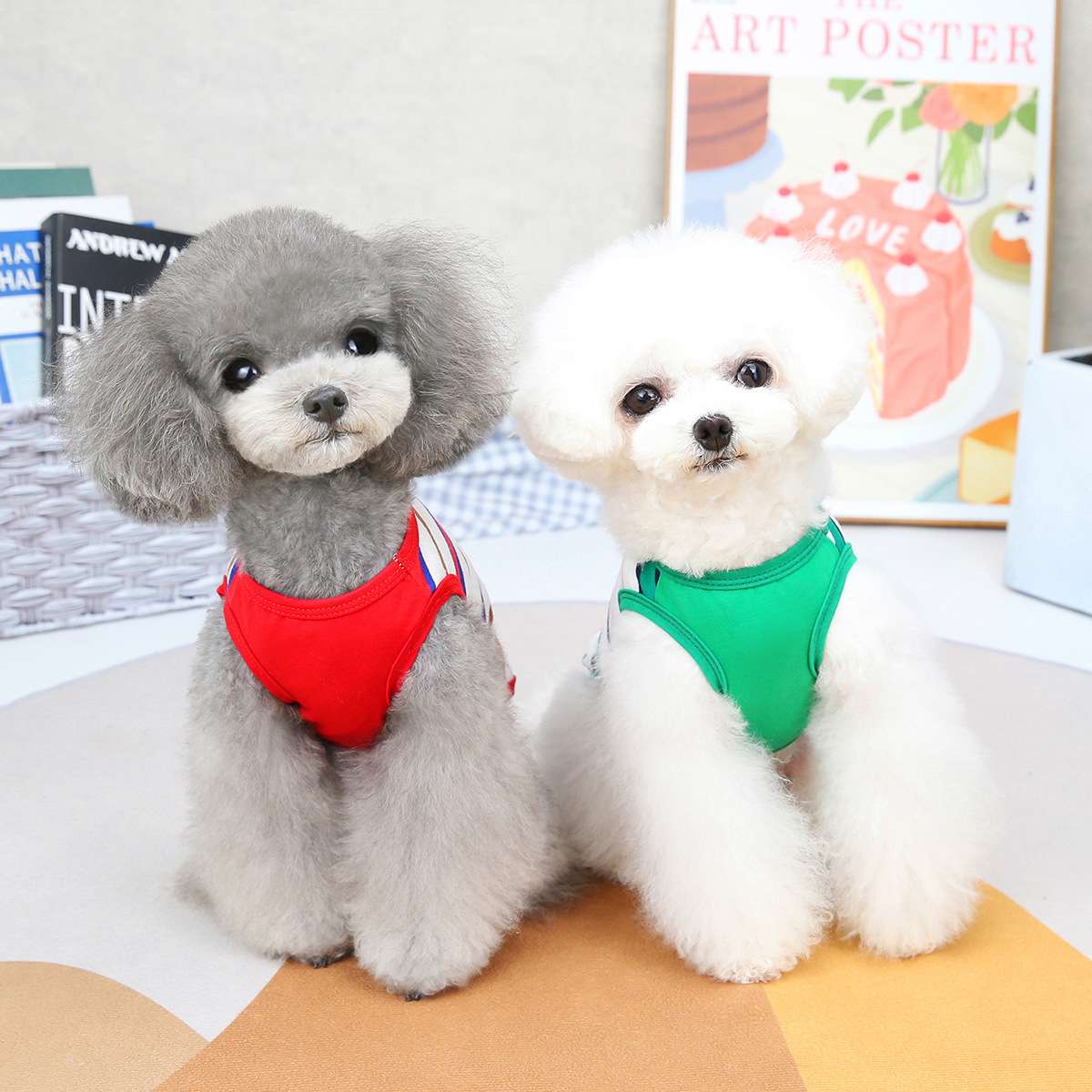 犬服 ふわもこわんちゃんのマリン風ボーダーシャツ