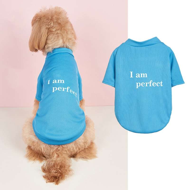 犬服  自信満々ペット用Tシャツ