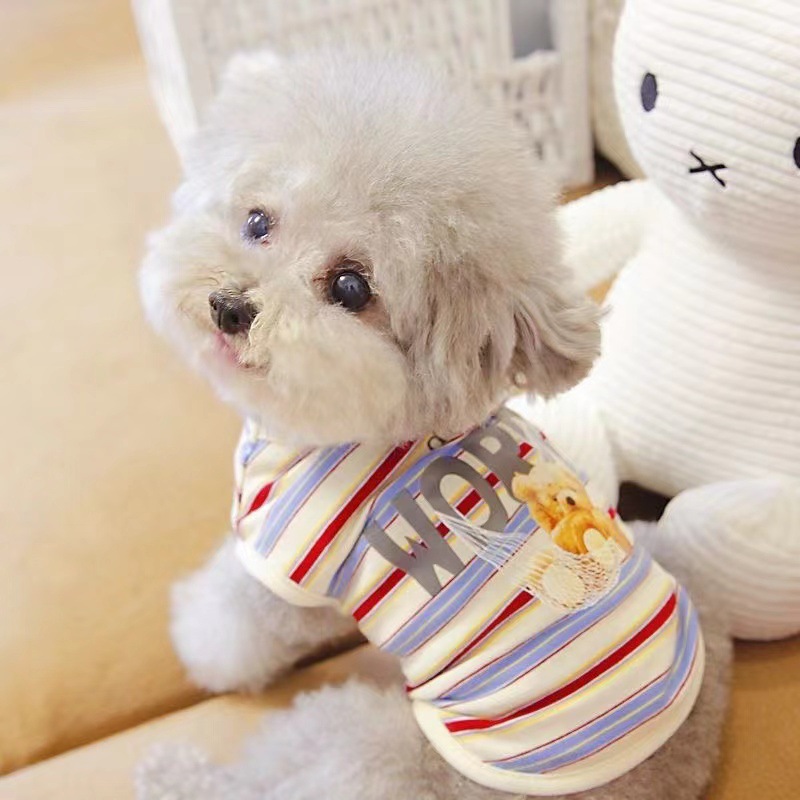 https://fulmo-img-server.com/perry-dog/99d17fcc-2304-45fe-945d-87a19bd3c68c.jpg
