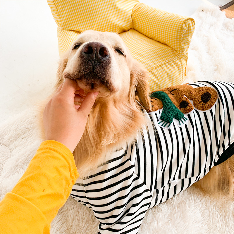 犬服 可愛いくまさんワッペン付きボーダー柄犬用Tシャツ