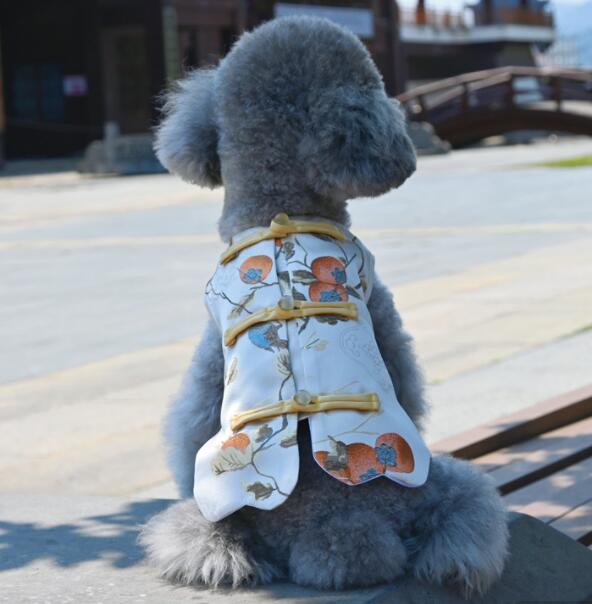 https://fulmo-img-server.com/perry-dog/9a7e058a-656e-4050-a2de-516b4bed673a.jpg