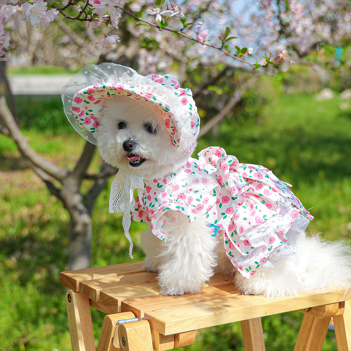 犬服 花園お姫様ワンピースと帽子セット