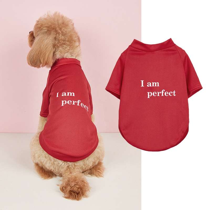 犬服  自信満々ペット用Tシャツ