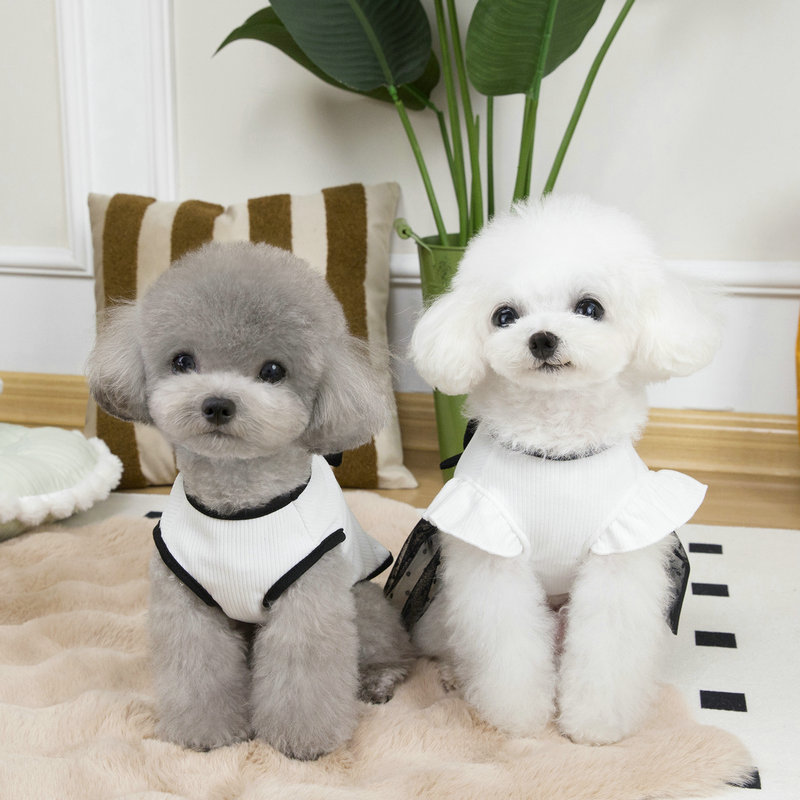 https://fulmo-img-server.com/perry-dog/9bd9a282-5053-4b2d-aeec-a8ac08764ed0.jpg