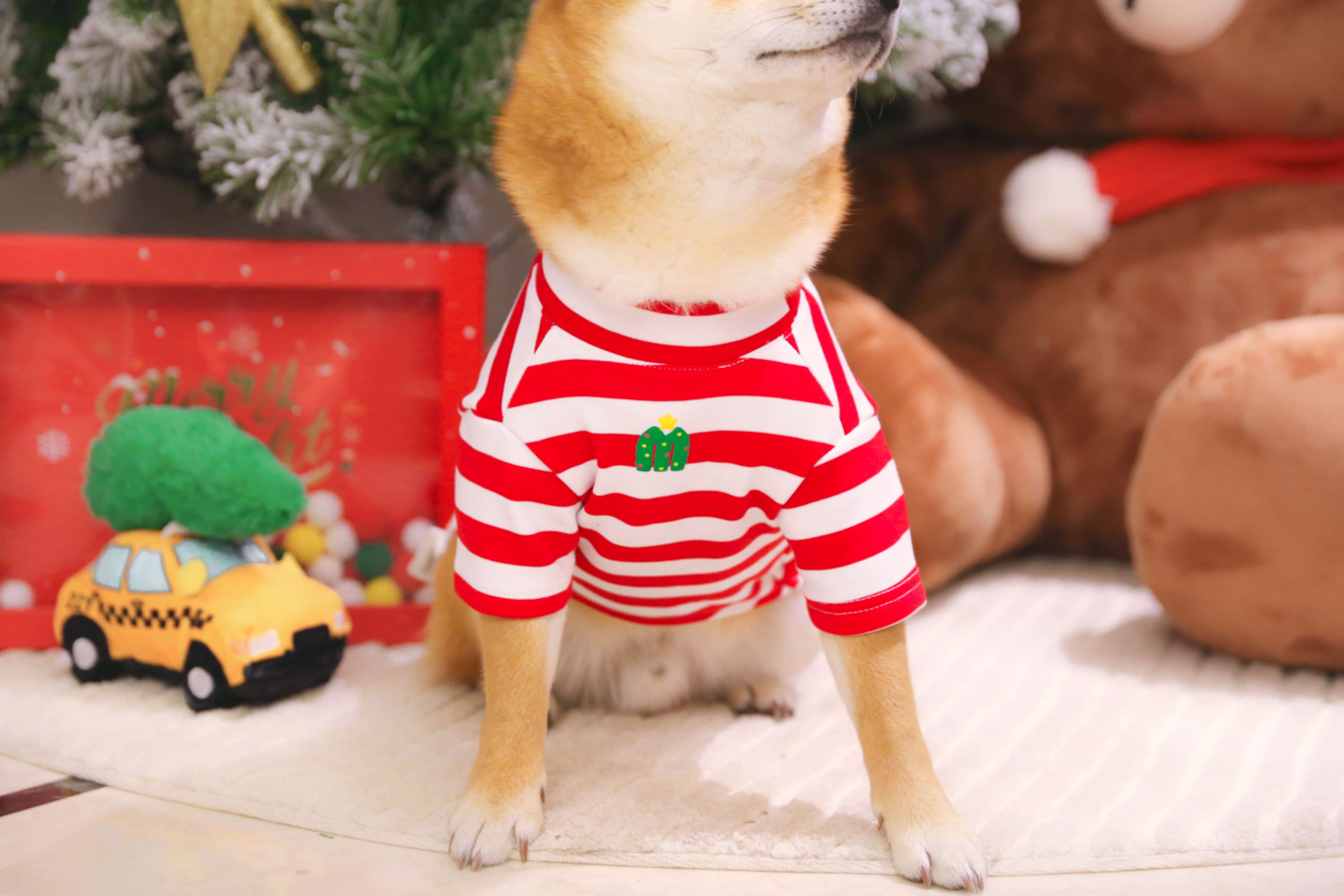 ×犬服 クリスマス柄もこもこベスト
