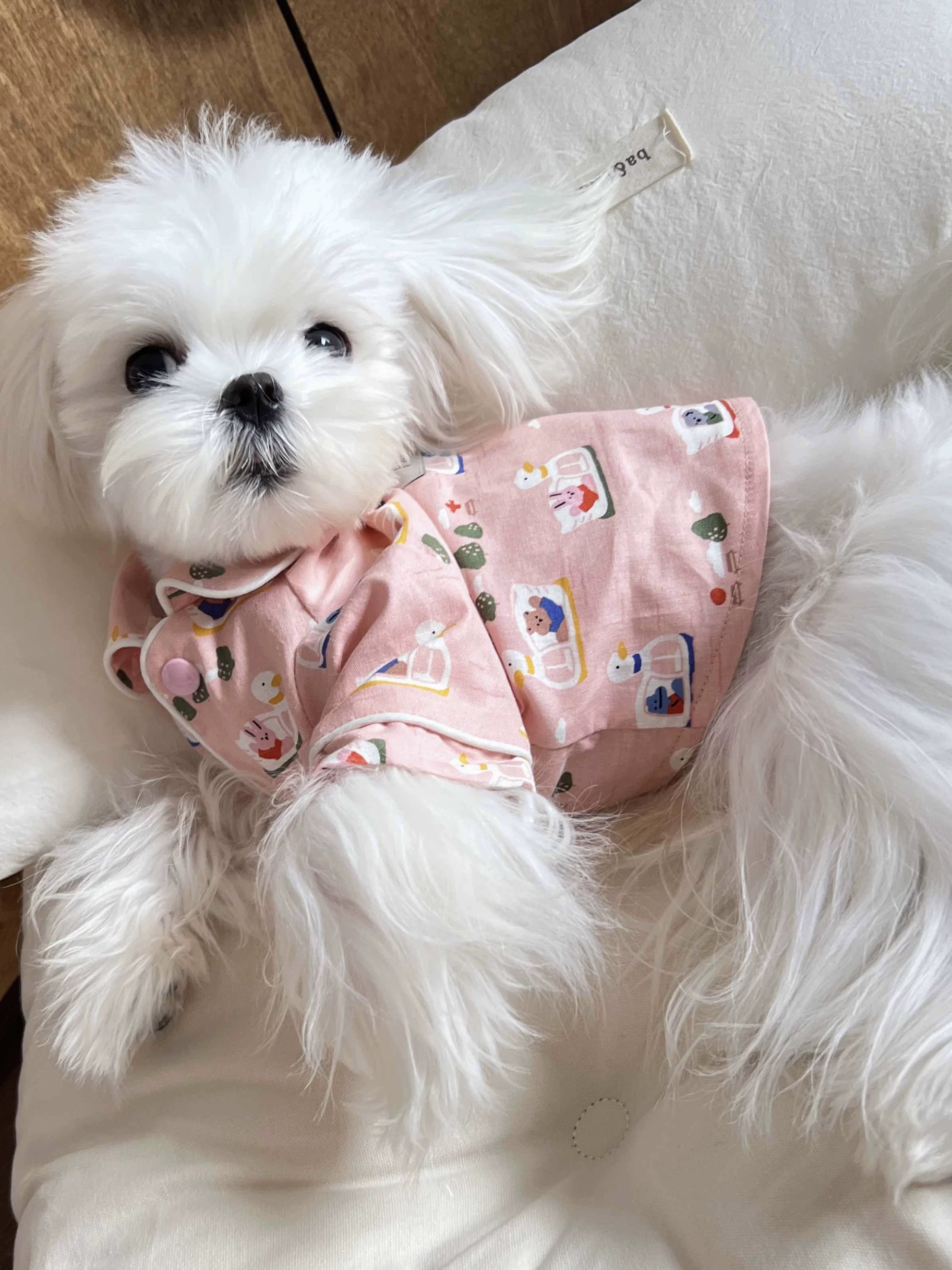 犬服 おやすみ動物園パジャマシャツ