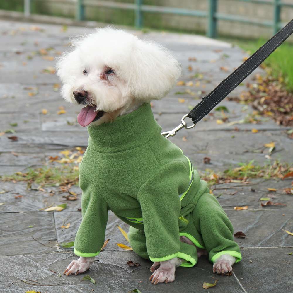 https://fulmo-img-server.com/perry-dog/9d41b19de5d9446c822fd93d5a4fba5b.jpg