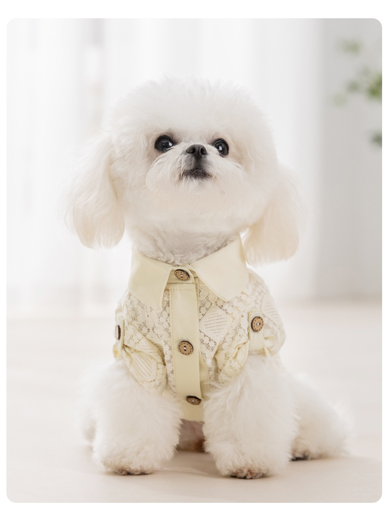 レース編みベスト風ニット犬服ボタンデザイン