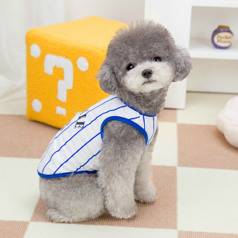 https://fulmo-img-server.com/perry-dog/9f07cefb-9c9f-4eb0-954b-432a8a72c305.jpg